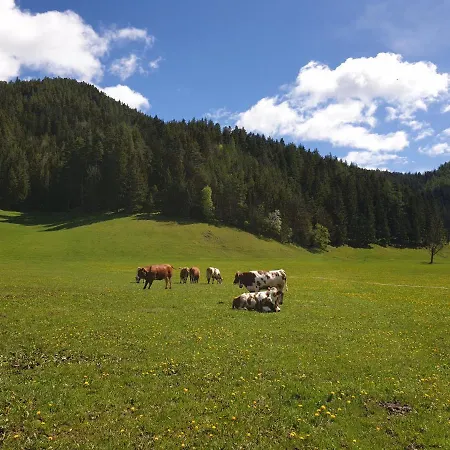 Bauernhof Moar Διαμέρισμα Kernhof