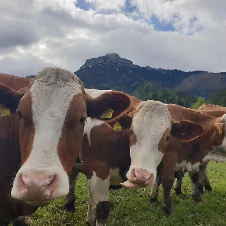 Bauernhof Moar Kernhof