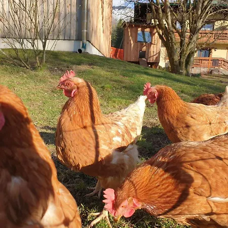 Bauernhof Moar Appartement *