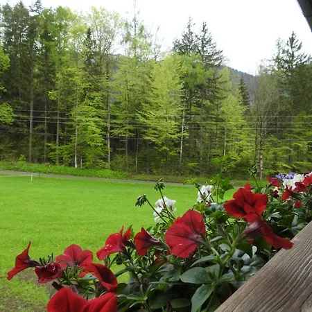 Bauernhof Moar アパート Kernhof