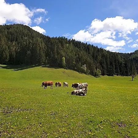 Bauernhof Moar