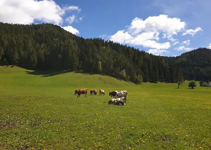 Bauernhof Moar Appartement Kernhof
