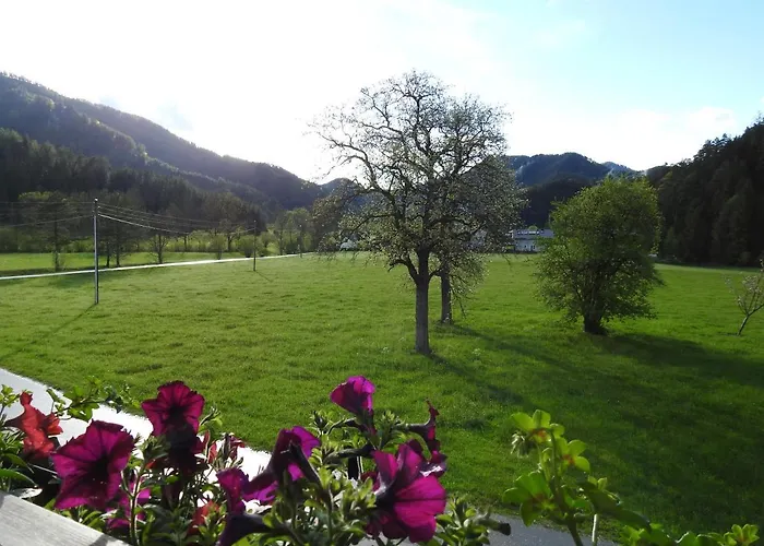 Bauernhof Moar * Kernhof