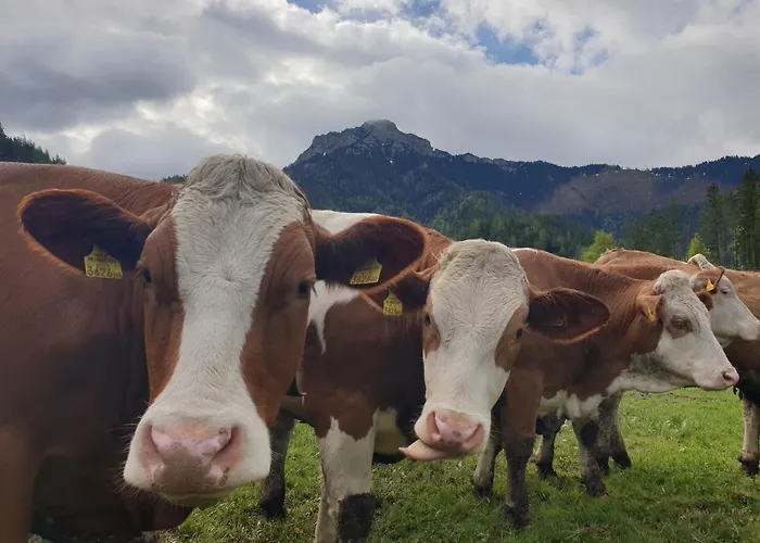 Bauernhof Moar Kernhof