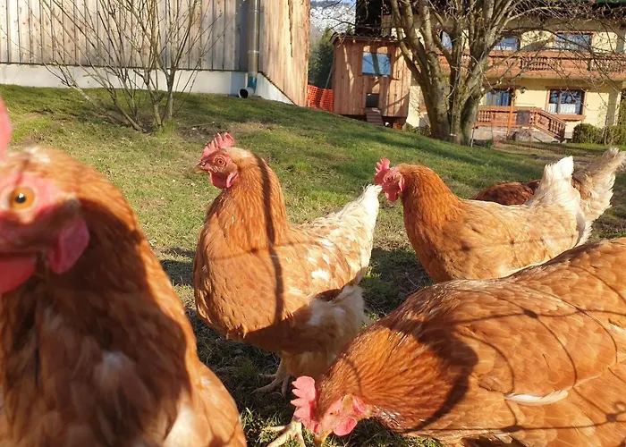 Bauernhof Moar Διαμέρισμα *