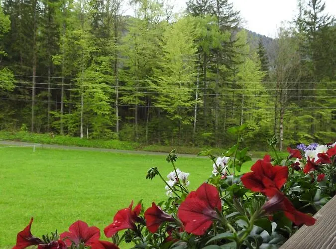 Bauernhof Moar Διαμέρισμα Kernhof